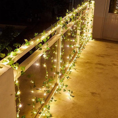 ALiLa Leaf Money Plant Led String Lights for Home Lawn Garden Indoor Outdoor Decoration (Battery Powered, 10Meter/32Feet) - ALiLA