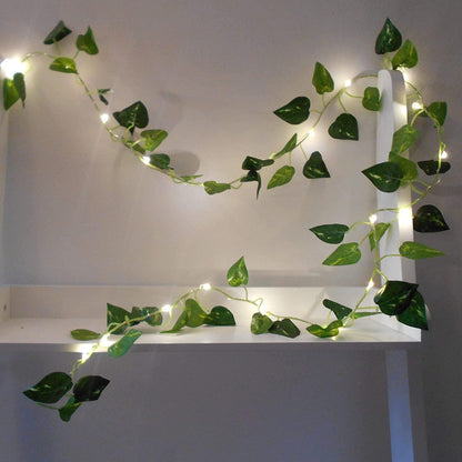 ALiLa Leaf Money Plant Indoor Outdoor Led String Lights for Home Lawn Garden Indoor Outdoor Decoration (3.5Meter, Pack of 1) - ALiLA