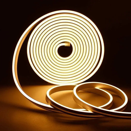ALiLa LED Neon Rope Light for Indoor Outdoor, Decorative, Diwali, Christmas, Festival, Cove, False Ceiling,Balcony,Entrance,Pillar with Direct Plug-in, 5 Meter, WarmWhite - ALiLA
